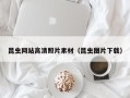 日土昆虫网站高清照片素材（昆虫图片下载）
